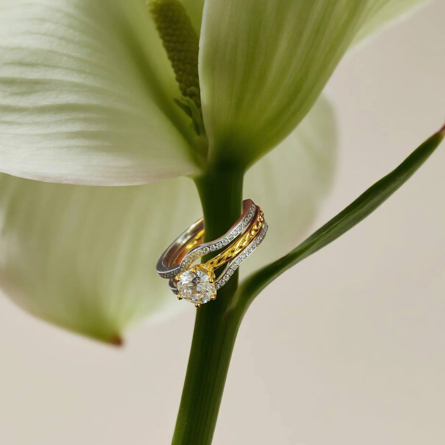 Two-Tone CZ Ring Set lifestyle image
